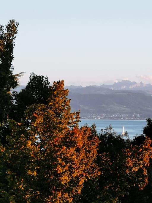 Wohnen Direkt Am Uferpark Mit Grossem Balkon Und Seeblick Friedrichshafen Bagian luar foto