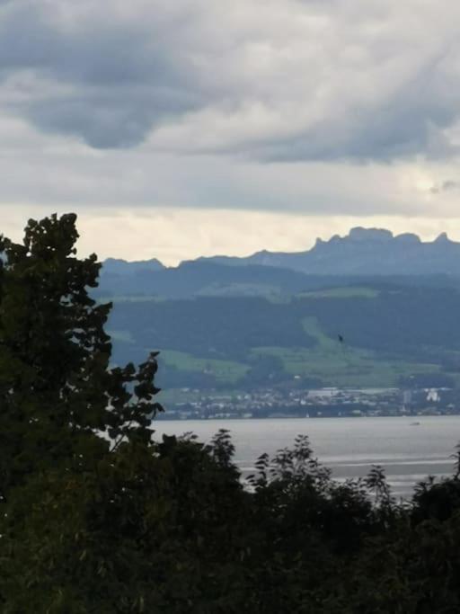 Wohnen Direkt Am Uferpark Mit Grossem Balkon Und Seeblick Friedrichshafen Bagian luar foto